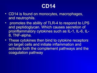 CD14 
• CD14 is found on monocytes, macrophages, 
and neutrophils. 
• promotes the ability of TLR-4 to respond to LPS 
and peptidoglycan. Which causes secretion of 
proinflammatory cytokines such as IL-1, IL-6, IL- 
8, TNF-alpha. 
• These cytokines then bind to cytokine receptors 
on target cells and initiate inflammation and 
activate both the complement pathways and the 
coagulation pathway 
 