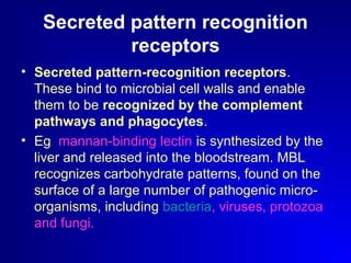Secreted pattern recognition 
receptors 
• Secreted pattern-recognition receptors. 
These bind to microbial cell walls and enable 
them to be recognized by the complement 
pathways and phagocytes. 
• Eg mannan-binding lectin is synthesized by the 
liver and released into the bloodstream. MBL 
recognizes carbohydrate patterns, found on the 
surface of a large number of pathogenic micro-organisms, 
including bacteria, viruses, protozoa 
and fungi. 
 
