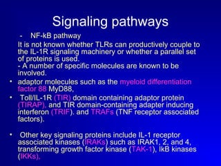 Signaling pathways 
- NF-kB pathway 
It is not known whether TLRs can productively couple to 
the IL-1R signaling machinery or whether a parallel set 
of proteins is used. 
- A number of specific molecules are known to be 
involved. 
• adaptor molecules such as the myeloid differentiation 
factor 88 MyD88, 
• Toll/IL-1R (TIR) domain containing adaptor protein 
(TIRAP), and TIR domain-containing adapter inducing 
interferon (TRIF). and TRAFs (TNF receptor associated 
factors). 
• Other key signaling proteins include IL-1 receptor 
associated kinases (IRAKs) such as IRAK1, 2, and 4, 
transforming growth factor kinase (TAK-1), IkB kinases 
(IKKs), 
 
