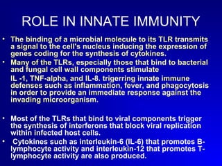ROLE IN INNATE IMMUNITY 
• The binding of a microbial molecule to its TLR transmits 
a signal to the cell's nucleus inducing the expression of 
genes coding for the synthesis of cytokines. 
• Many of the TLRs, especially those that bind to bacterial 
and fungal cell wall components stimulate 
IL -1, TNF-alpha, and IL-8. trigerring innate immune 
defenses such as inflammation, fever, and phagocytosis 
in order to provide an immediate response against the 
invading microorganism. 
• Most of the TLRs that bind to viral components trigger 
the synthesis of interferons that block viral replication 
within infected host cells. 
• Cytokines such as interleukin-6 (IL-6) that promotes B-lymphocyte 
activity and interleukin-12 that promotes T-lymphocyte 
activity are also produced. 
 