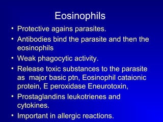 Eosinophils 
• Protective agains parasites. 
• Antibodies bind the parasite and then the 
eosinophils 
• Weak phagocytic activity. 
• Release toxic substances to the parasite 
as major basic ptn, Eosinophil cataionic 
protein, E peroxidase Eneurotoxin, 
• Prostaglandins leukotrienes and 
cytokines. 
• Important in allergic reactions. 
 