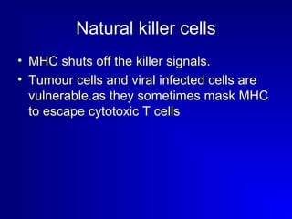 Natural killer cells 
• MHC shuts off the killer signals. 
• Tumour cells and viral infected cells are 
vulnerable.as they sometimes mask MHC 
to escape cytotoxic T cells 
 