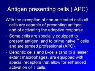 Antigen presenting cells ( APC) 
With the exception of non-nucleated cells all 
cells are capable of presenting antigen 
and of activating the adaptive response. 
- Some cells are specially equipped to 
present antigen, and to prime naive T cells 
and are termed professional (APC). 
- Dendritic cells and B-cells (and to a lesser 
extent macrophages. are equipped with 
special receptors that allow for enhanced 
activation of T cells. 
 