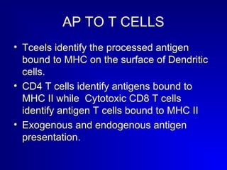 AP TO T CELLS 
• Tceels identify the processed antigen 
bound to MHC on the surface of Dendritic 
cells. 
• CD4 T cells identify antigens bound to 
MHC II while Cytotoxic CD8 T cells 
identify antigen T cells bound to MHC II 
• Exogenous and endogenous antigen 
presentation. 
 