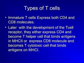 Types of T cells 
• Immature T cells Express both CD4 and 
CD8 molecules. 
• Later with the development of the Tcell 
receptor, they either express CD4 and 
become T helper cell that binds antigens 
in MHCII or express CD8 molecule and 
becomes T cytotoxic cell that binds 
antigens on MHCI. 
 