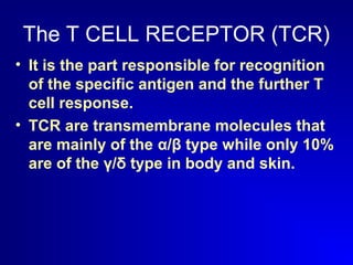 The T CELL RECEPTOR (TCR) 
• It is the part responsible for recognition 
of the specific antigen and the further T 
cell response. 
• TCR are transmembrane molecules that 
are mainly of the α/β type while only 10% 
are of the γ/δ type in body and skin. 
 