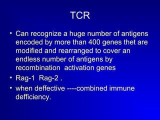 TCR 
• Can recognize a huge number of antigens 
encoded by more than 400 genes thet are 
modified and rearranged to cover an 
endless number of antigens by 
recombination activation genes 
• Rag-1 Rag-2 . 
• when deffective ----combined immune 
defficiency. 
 