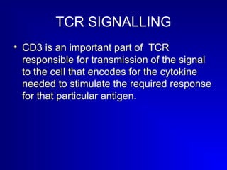 TCR SIGNALLING 
• CD3 is an important part of TCR 
responsible for transmission of the signal 
to the cell that encodes for the cytokine 
needed to stimulate the required response 
for that particular antigen. 
 