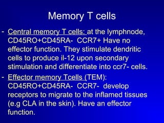 Memory T cells 
- Central memory T cells: at the lymphnode, 
CD45RO+CD45RA- CCR7+ Have no 
effector function. They stimulate dendritic 
cells to produce il-12 upon secondary 
stimulation and differentiate into ccr7- cells. 
- Effector memory Tcells (TEM): 
CD45RO+CD45RA- CCR7- develop 
receptors to migrate to the inflamed tissues 
(e.g CLA in the skin). Have an effector 
function. 
 