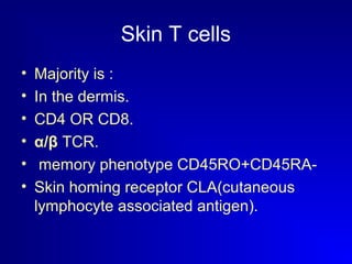 Skin T cells 
• Majority is : 
• In the dermis. 
• CD4 OR CD8. 
• α/β TCR. 
• memory phenotype CD45RO+CD45RA- 
• Skin homing receptor CLA(cutaneous 
lymphocyte associated antigen). 
 