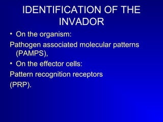 IDENTIFICATION OF THE 
INVADOR 
• On the organism: 
Pathogen associated molecular patterns 
(PAMPS), 
• On the effector cells: 
Pattern recognition receptors 
(PRP). 
 