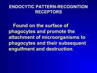ENDOCYTIC PATTERN-RECOGNITION 
RECEPTORS 
Found on the surface of 
phagocytes and promote the 
attachment of microorganisms to 
phagocytes and their subsequent 
engulfment and destruction. 
 