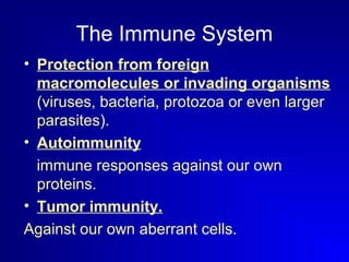 The Immune System 
• Protection from foreign 
macromolecules or invading organisms 
(viruses, bacteria, protozoa or even larger 
parasites). 
• Autoimmunity 
immune responses against our own 
proteins. 
• Tumor immunity. 
Against our own aberrant cells. 
 