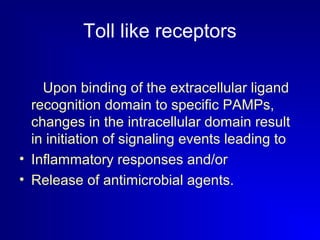 Toll like receptors 
Upon binding of the extracellular ligand 
recognition domain to specific PAMPs, 
changes in the intracellular domain result 
in initiation of signaling events leading to 
• Inflammatory responses and/or 
• Release of antimicrobial agents. 
 
