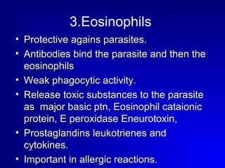 3.Eosinophils 
• Protective agains parasites. 
• Antibodies bind the parasite and then the 
eosinophils 
• Weak phagocytic activity. 
• Release toxic substances to the parasite 
as major basic ptn, Eosinophil cataionic 
protein, E peroxidase Eneurotoxin, 
• Prostaglandins leukotrienes and 
cytokines. 
• Important in allergic reactions. 
 