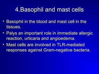 4.Basophil and mast cells 
• Basophil in the blood and mast cell in the 
tissues. 
• Palys an important role in immediate allergic 
reaction, urticaria and angioedema. 
• Mast cells are involved in TLR-mediated 
responses against Gram-negative bacteria. 
 