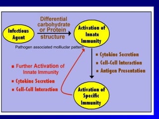Pathogen associated molliuclar pattern 
 