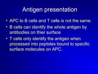 Antigen presentation 
• APC to B cells and T cells is not the same. 
• B cells can identify the whole antigen by 
antibodies on thier surface 
• T cells only identify the antigen when 
processed into peptides bound to specific 
surface molecules on APC. 
 
