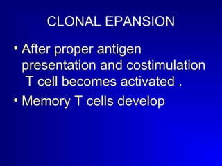 CLONAL EPANSION 
• After proper antigen 
presentation and costimulation 
T cell becomes activated . 
• Memory T cells develop 
 
