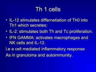 Th 1 cells 
• IL-12 stimulates differnetiation of Th0 into 
Th1 which secretes: 
• IL-2: stimulates both Th and Tc proliferation. 
• IFN GAMMA: activates macrophages and 
NK cells and IL-12. 
i.e a cell mediated inflammatory response 
As in granuloma and autoimmunity. 
 