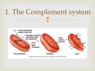 Basic immunology from the dermatologic point of view(innate) | PPT