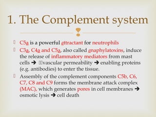 Basic immunology from the dermatologic point of view(innate) | PPT