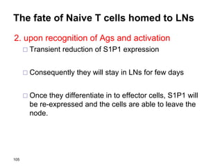 The fate of Naive T cells homed to LNs
2. upon recognition of Ags and activation
 Transient reduction of S1P1 expression
 Consequently they will stay in LNs for few days
 Once they differentiate in to effector cells, S1P1 will
be re-expressed and the cells are able to leave the
node.
105
 