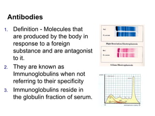 Antibodies
1. Definition - Molecules that
are produced by the body in
response to a foreign
substance and are antagonist
to it.
2. They are known as
Immunoglobulins when not
referring to their specificity
3. Immunoglobulins reside in
the globulin fraction of serum.
 