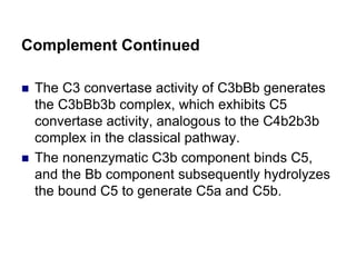 Complement Continued
 The C3 convertase activity of C3bBb generates
the C3bBb3b complex, which exhibits C5
convertase activity, analogous to the C4b2b3b
complex in the classical pathway.
 The nonenzymatic C3b component binds C5,
and the Bb component subsequently hydrolyzes
the bound C5 to generate C5a and C5b.
 
