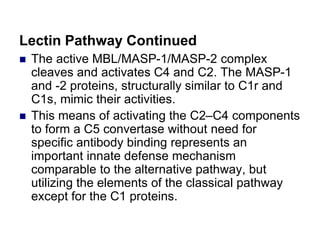 Lectin Pathway Continued
 The active MBL/MASP-1/MASP-2 complex
cleaves and activates C4 and C2. The MASP-1
and -2 proteins, structurally similar to C1r and
C1s, mimic their activities.
 This means of activating the C2–C4 components
to form a C5 convertase without need for
specific antibody binding represents an
important innate defense mechanism
comparable to the alternative pathway, but
utilizing the elements of the classical pathway
except for the C1 proteins.
 