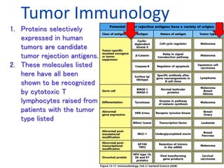 1. Proteins selectively
expressed in human
tumors are candidate
tumor rejection antigens.
2. These molecules listed
here have all been
shown to be recognized
by cytotoxic T
lymphocytes raised from
patients with the tumor
type listed
Tumor Immunology
 