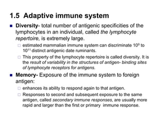 1.5 Adaptive immune system
 Diversity- total number of antigenic specificities of the
lymphocytes in an individual, called the lymphocyte
repertoire, is extremely large.
 estimated mammalian immune system can discriminate 109 to
1011 distinct antigenic date ruminants.
 This property of the lymphocyte repertoire is called diversity. It is
the result of variability in the structures of antigen- binding sites
of lymphocyte receptors for antigens.
 Memory- Exposure of the immune system to foreign
antigen:
 enhances its ability to respond again to that antigen.
 Responses to second and subsequent exposure to the same
antigen, called secondary immune responses, are usually more
rapid and larger than the first or primary immune response.
 