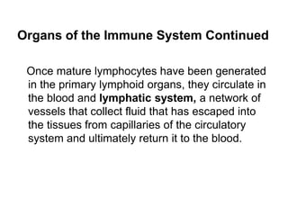 Organs of the Immune System Continued
Once mature lymphocytes have been generated
in the primary lymphoid organs, they circulate in
the blood and lymphatic system, a network of
vessels that collect fluid that has escaped into
the tissues from capillaries of the circulatory
system and ultimately return it to the blood.
 