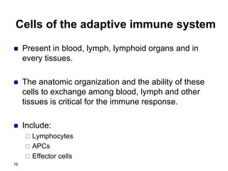 Cells of the adaptive immune system
 Present in blood, lymph, lymphoid organs and in
every tissues.
 The anatomic organization and the ability of these
cells to exchange among blood, lymph and other
tissues is critical for the immune response.
 Include:
 Lymphocytes
 APCs
 Effector cells
76
 
