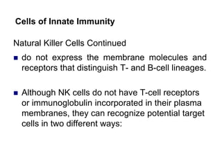 Natural Killer Cells Continued
 do not express the membrane molecules and
receptors that distinguish T- and B-cell lineages.
 Although NK cells do not have T-cell receptors
or immunoglobulin incorporated in their plasma
membranes, they can recognize potential target
cells in two different ways:
Cells of Innate Immunity
 