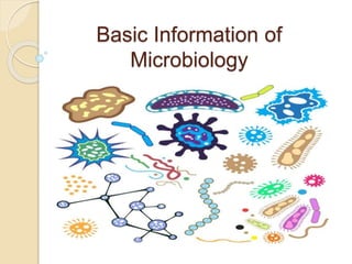 Basic Information of
Microbiology
 