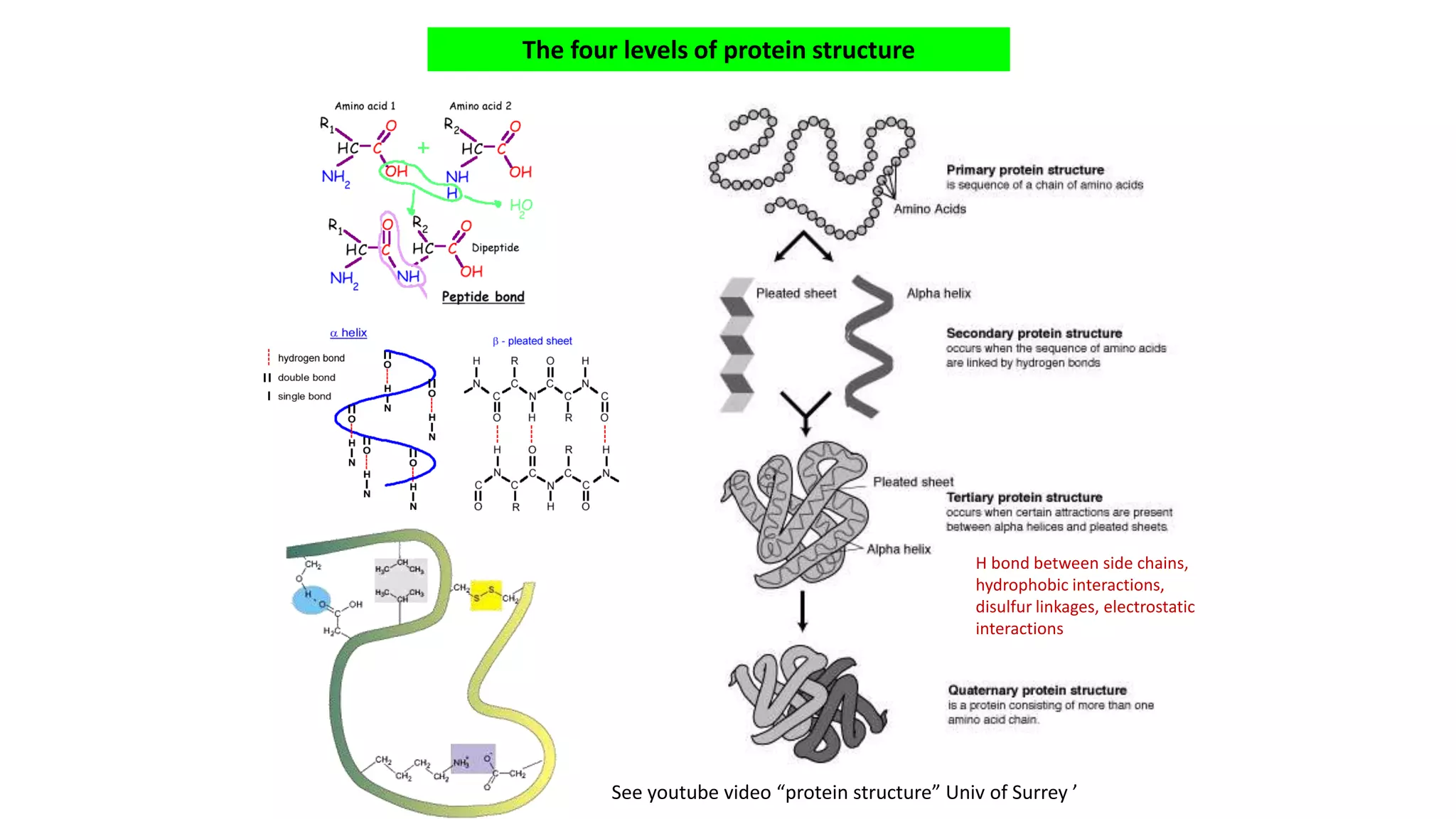Bioinorganic Compounds Basic Inorganic chemistry part 3 Bioinorganic chemistry (1).pptx