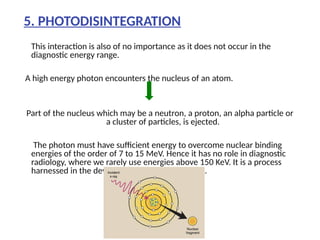 Photodisintegration Process Comprehensive Overview of X-Ray Interactions with Matter in Diagnostic ...