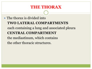 THE THORAX
 The thorax is divided into
TWO LATERAL COMPARTMENTS
each containing a lung and associated pleura
CENTRAL COMPARTMENT
the mediastinum, which contains
the other thoracic structures.
 