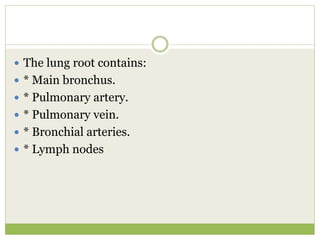  The lung root contains:
 * Main bronchus.
 * Pulmonary artery.
 * Pulmonary vein.
 * Bronchial arteries.
 * Lymph nodes
 