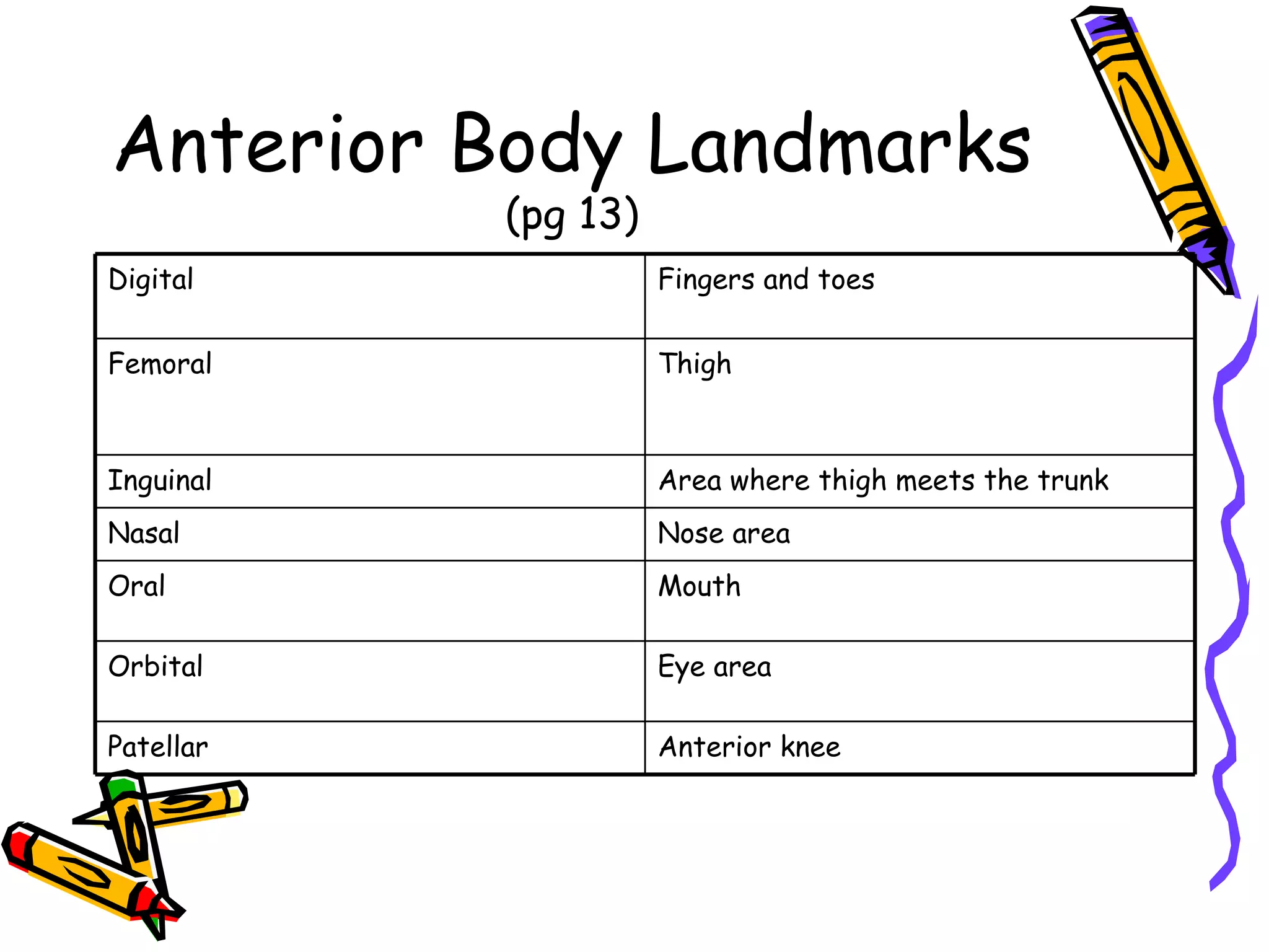 Anterior Body Landmarks (pg 13) Anterior knee Patellar Eye area Orbital  Mouth Oral Nose area Nasal Area where thigh meets the trunk Inguinal Thigh Femoral Fingers and toes Digital 
