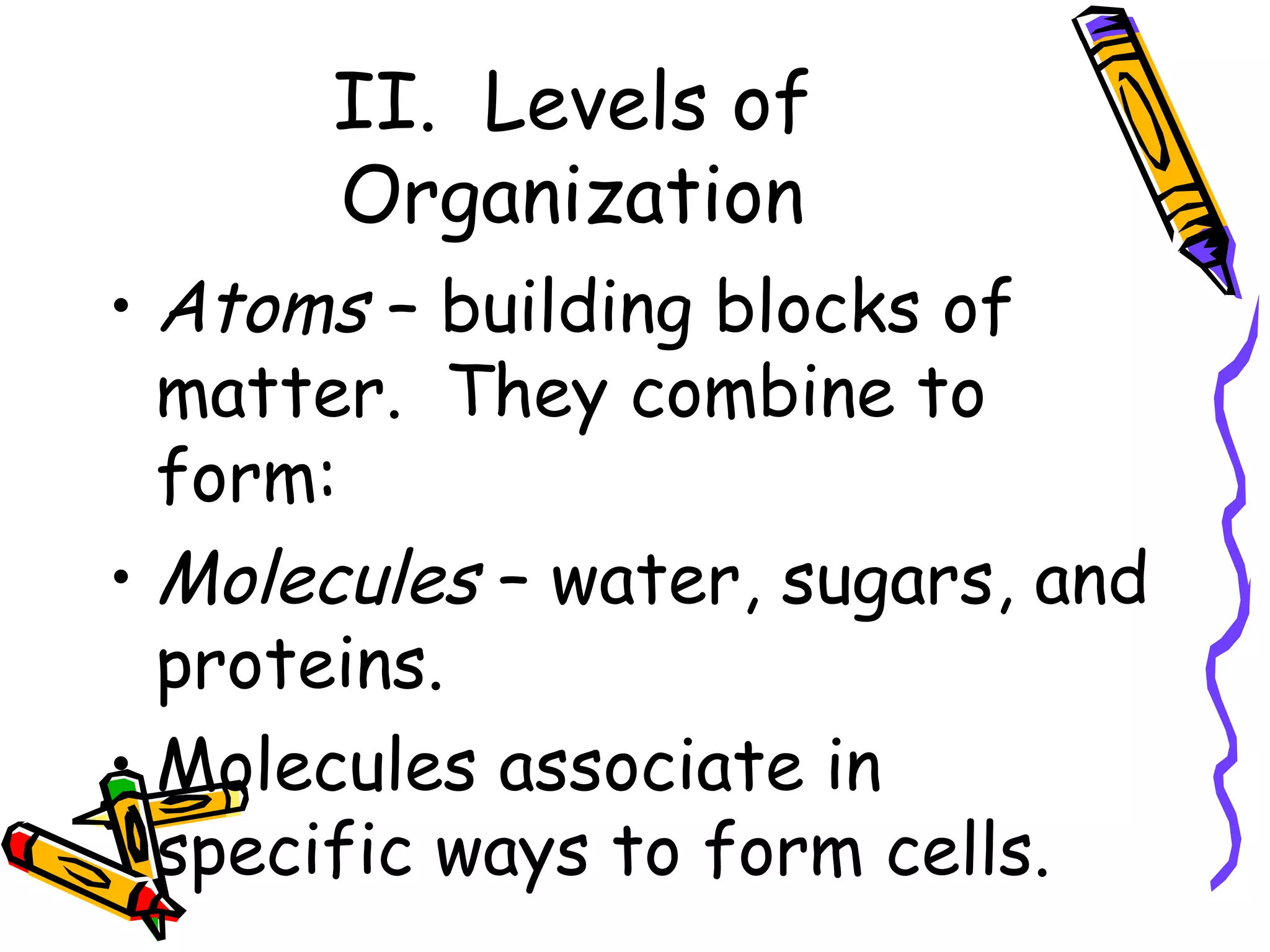 II.  Levels of Organization Atoms  – building blocks of matter.  They combine to form: Molecules  – water, sugars, and proteins. Molecules associate in specific ways to form cells. 