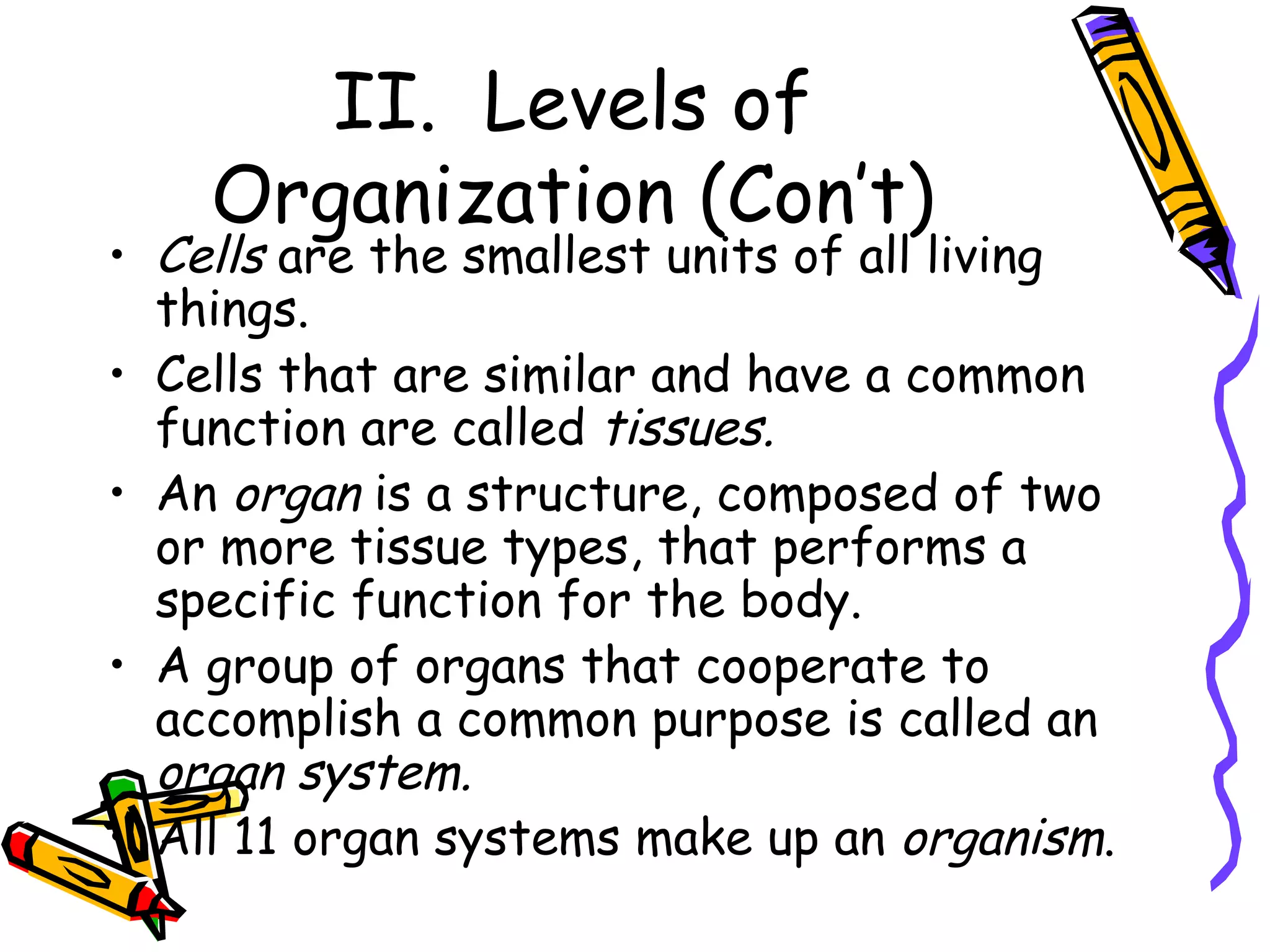 II.  Levels of Organization (Con’t) Cells  are the smallest units of all living things. Cells that are similar and have a common function are called  tissues. An  organ  is a structure, composed of two or more tissue types, that performs a specific function for the body. A group of organs that cooperate to accomplish a common purpose is called an  organ system. All 11 organ systems make up an  organism . 