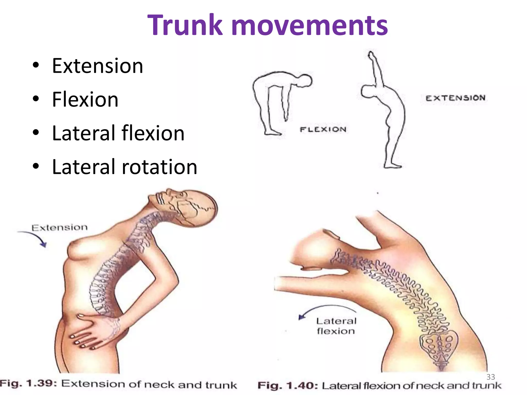 Basic introduction of human anatomy | PPTX