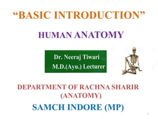 “BASIC INTRODUCTION”
HUMAN ANATOMY
DEPARTMENT OF RACHNA SHARIR
(ANATOMY)
SAMCH INDORE (MP) 1
 