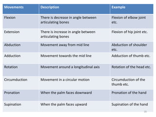 Basic introduction of human anatomy | PPTX