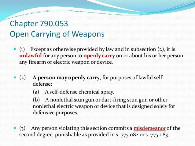 CHAPTER 790 FLORIDA STATUTES EBOOK DOWNLOAD CHAPTER 790 FLORIDA STATUTES EBOOK DOWNLOAD