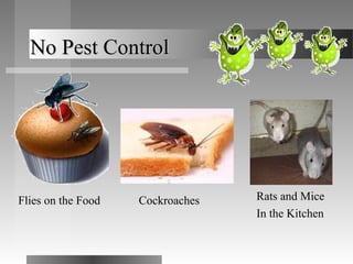 No Pest Control




Flies on the Food   Cockroaches   Rats and Mice
                                  In the Kitchen
 