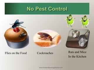 www.foodandbeveragetrainer.com 
Flies on the Food 
Cockroaches 
Rats and Mice 
In the Kitchen  