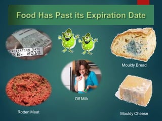 Rotten Meat Mouldy Cheese
Mouldy Bread
Off Milk
 